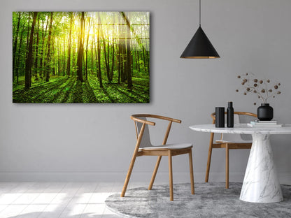 Stunning Forest Photograph Acrylic Glass Print Tempered Glass Wall Art 100% Made in Australia Ready to Hang