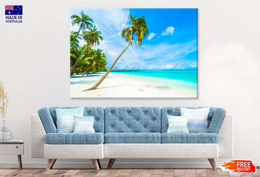 Maldives Island Near Palm Trees Photograph Print 100% Australian Made