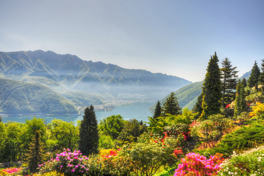 Autumn Flower Trees & Mountains Photograph Print 100% Australian Made