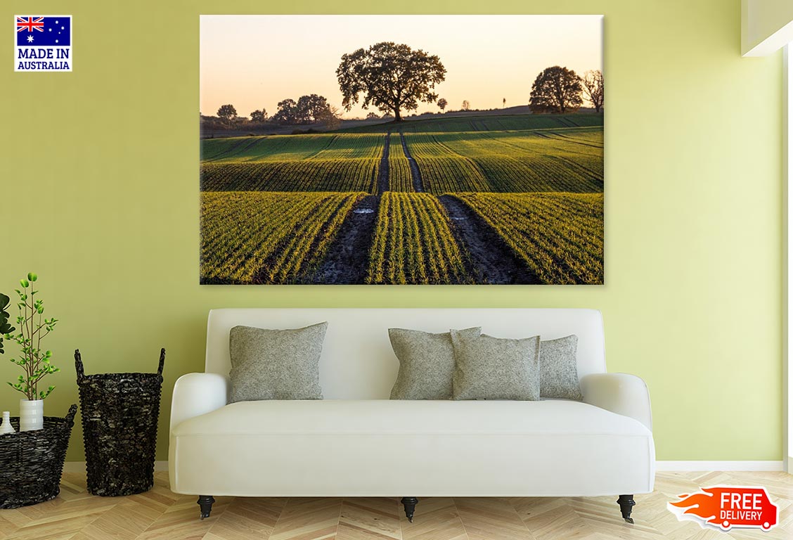 Trees on Field Scenery Photograph Print 100% Australian Made