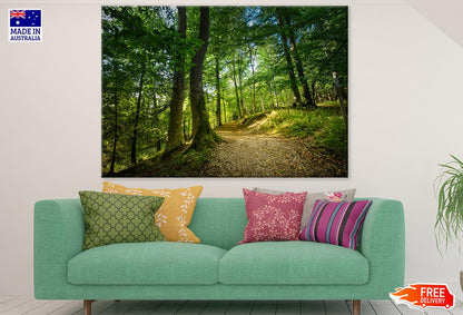 Footpath in Forest Photograph Print 100% Australian Made