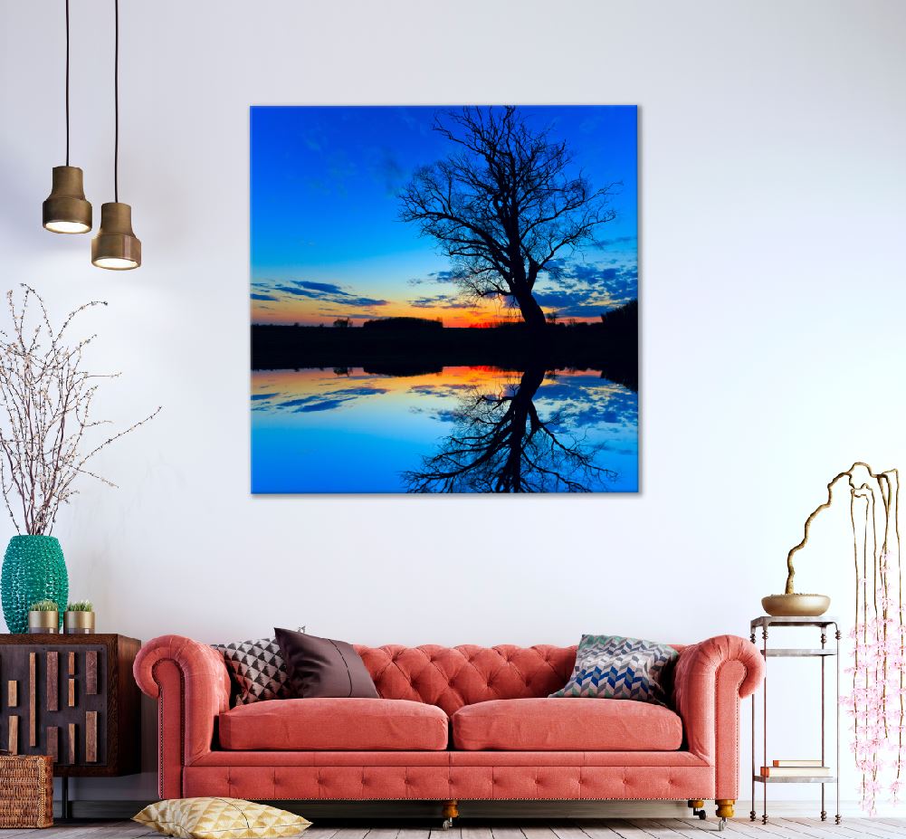 Square Canvas Old Tree in Water with Sunset Photograph High Quality Print 100% Australian Made