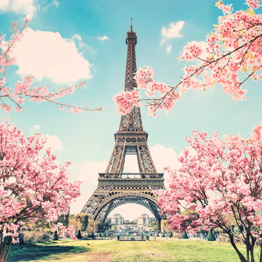 Square Canvas Eiffel Tower in Paris With Pink Flowers High Quality Print 100% Australian Made