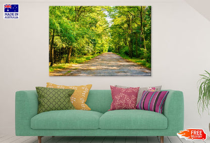 Road Covered with Trees on Sunshine Photograph Print 100% Australian Made