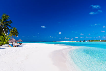 Palm Trees & White Sandy Beach Photograph Print 100% Australian Made