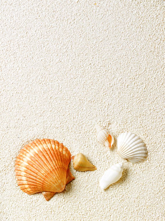 Sea Sand with Seashell Photograph Print 100% Australian Made