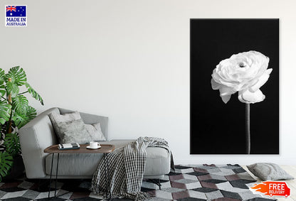 White Rose Closeup B&W View Photograph Print 100% Australian Made