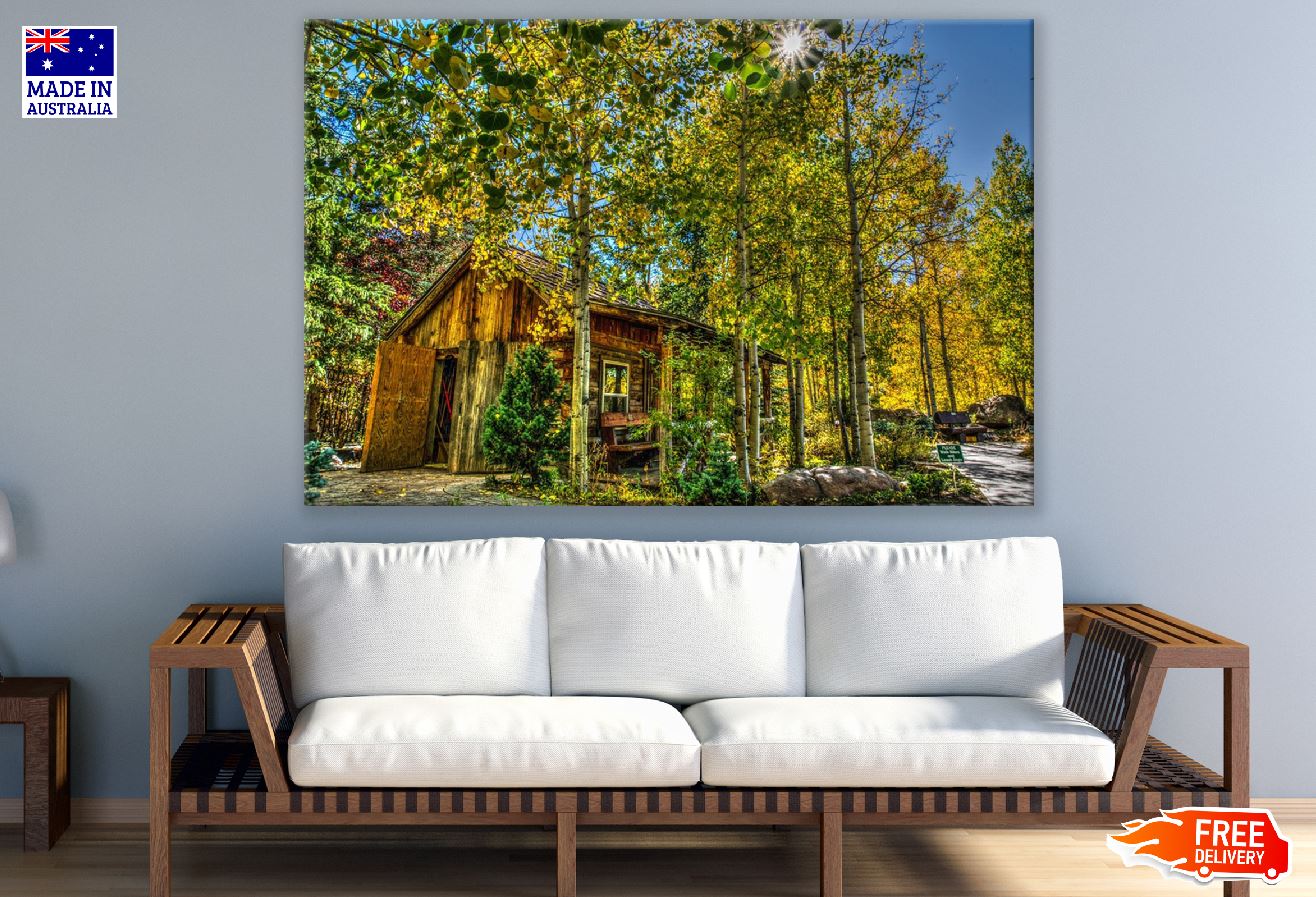 Autumn Trees & Wood House Photograph Print 100% Australian Made