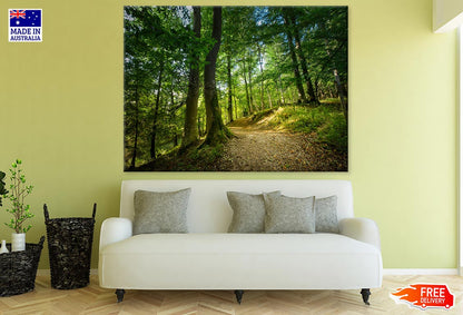 Footpath in Forest Photograph Print 100% Australian Made