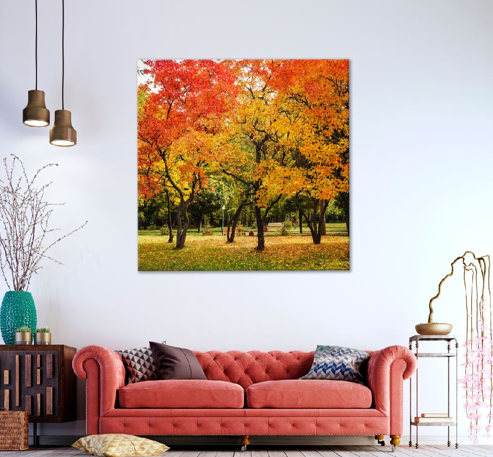 Square Canvas Red Yellow Autumn Trees View Photograph High Quality Print 100% Australian Made