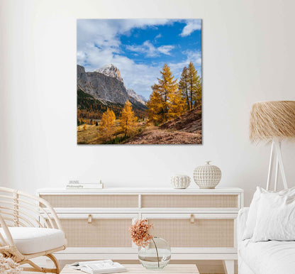 Square Canvas Autumn Trees on Hill Mountain High Quality Print 100% Australian Made