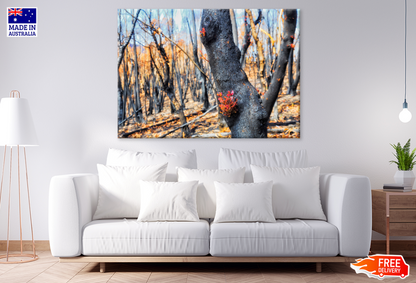 Hardwood Forest View Photograph Print 100% Australian Made