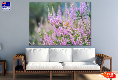 Pink Flowers Closeup Photograph Print 100% Australian Made