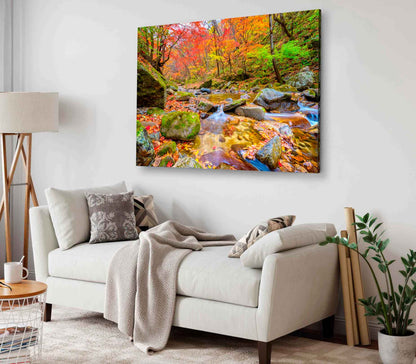 Bella Home Bangtaesan Mountain Autumn, Korea Print Canvas Ready to hang