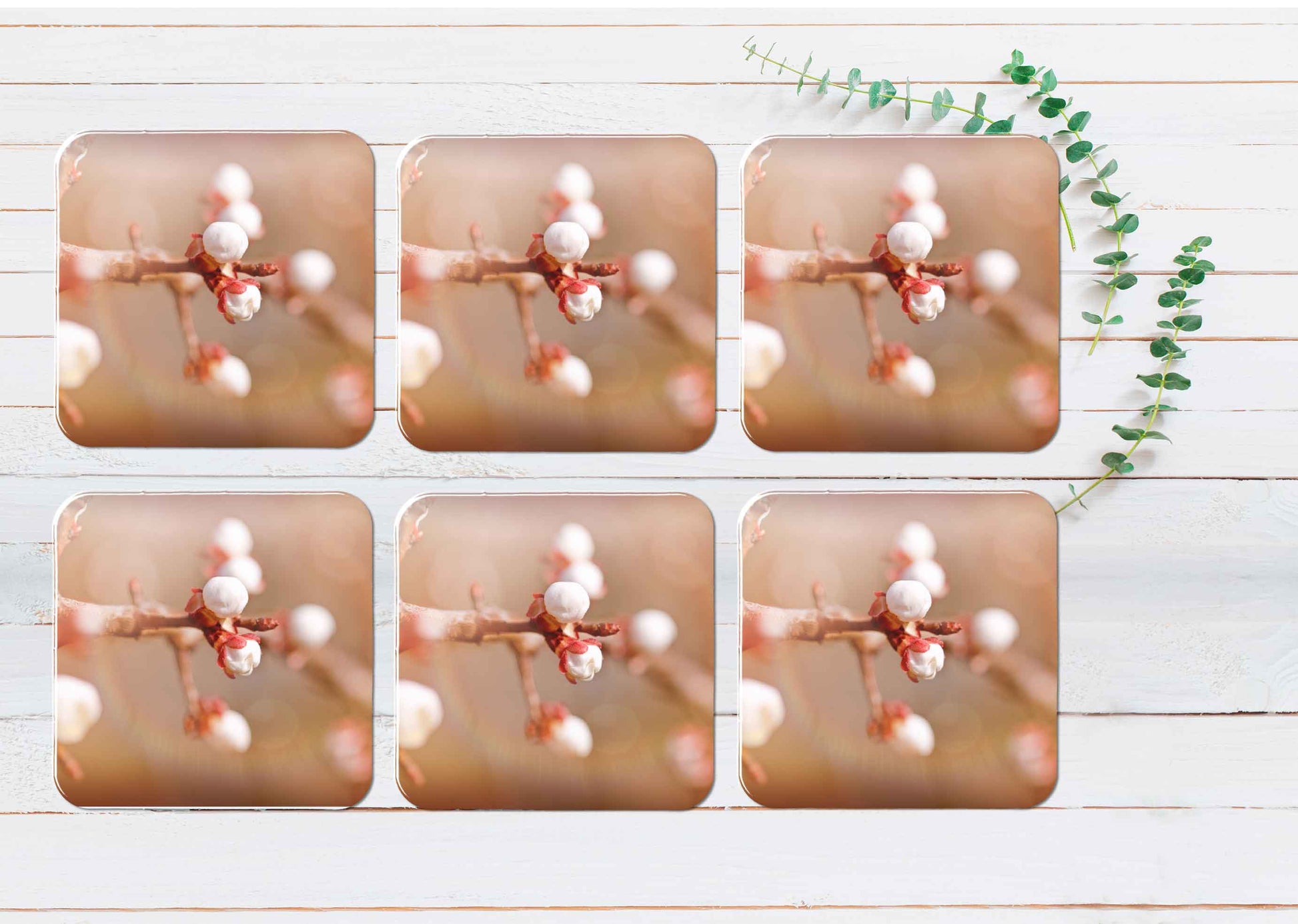 Budding Buds Flowers Coasters Wood & Rubber - Set of 6 Coasters