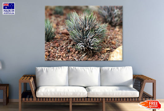 Shrubland Plant Closeup View Photograph Print 100% Australian Made