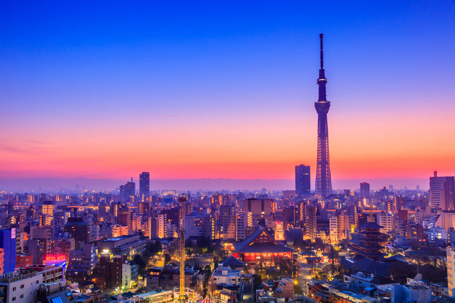 Tower with Tokyo City Skyline View Home Decor Premium Quality Poster Print Choose Your Sizes