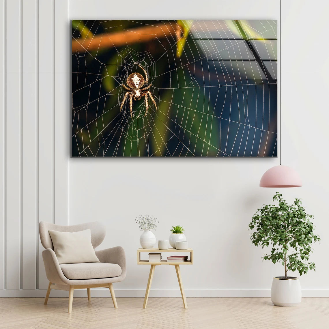 Spider on Web Photograph Acrylic Glass Print Tempered Glass Wall Art 100% Made in Australia Ready to Hang