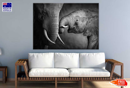 Baby Elephant with Mom B&W View Photograph Print 100% Australian Made