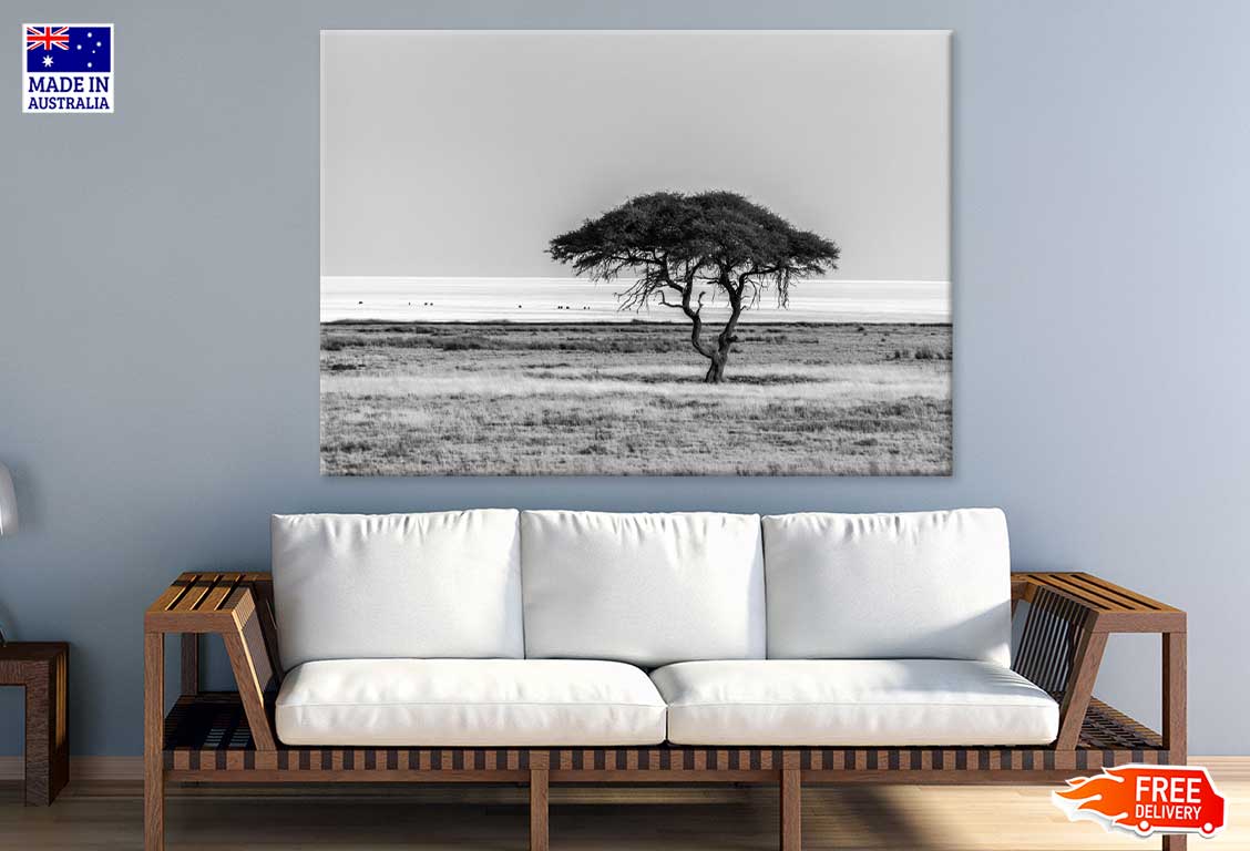 Lonely Tree in Field B&W View Photograph Print 100% Australian Made