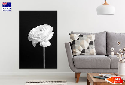 White Rose Closeup B&W View Photograph Print 100% Australian Made