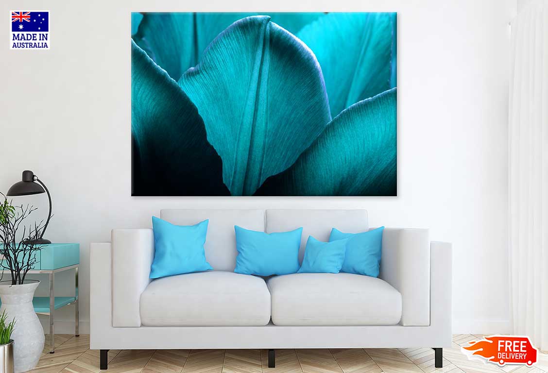 Blue Flower Petals Closeup View Photograph Print 100% Australian Made