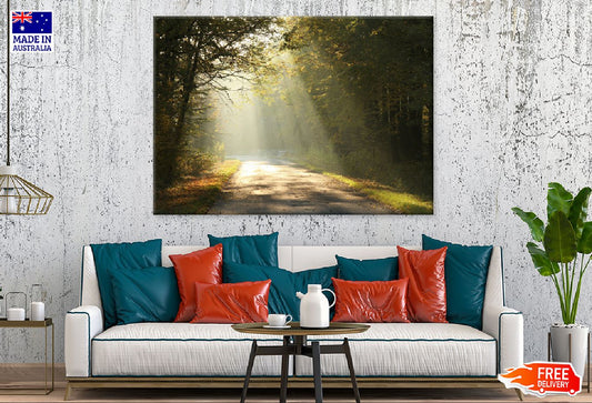 Sunshine on Forest Road View Photograph Print 100% Australian Made