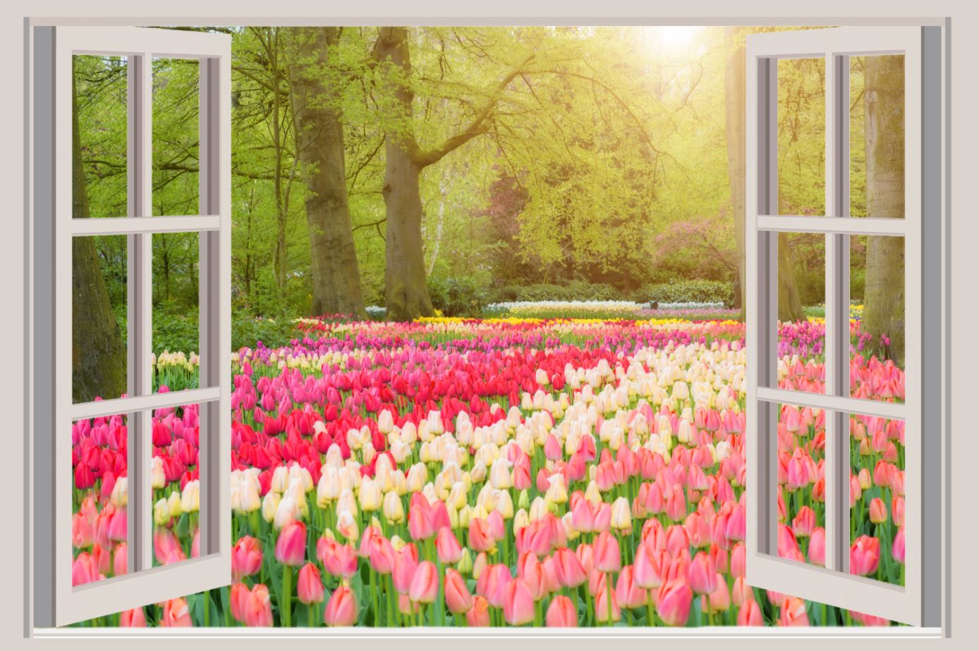 Flower Field Scenery Window View Home Decor Premium Quality Poster Print Choose Your Sizes