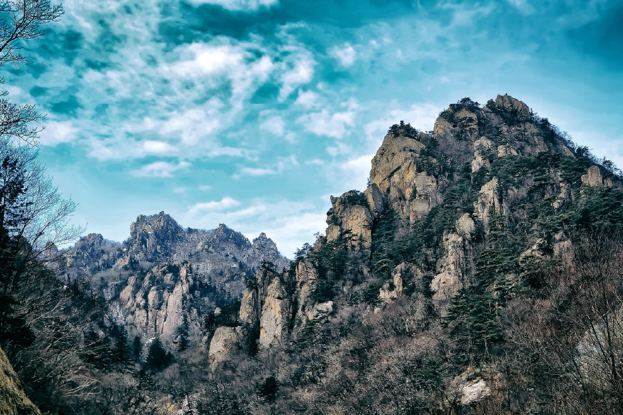 Korea Forest Mountains with Sky Photograph Home Decor Premium Quality Poster Print Choose Your Sizes