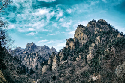 Korea Forest Mountains with Sky Photograph Home Decor Premium Quality Poster Print Choose Your Sizes