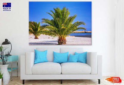 Palm Trees Near Sea Photograph Print 100% Australian Made