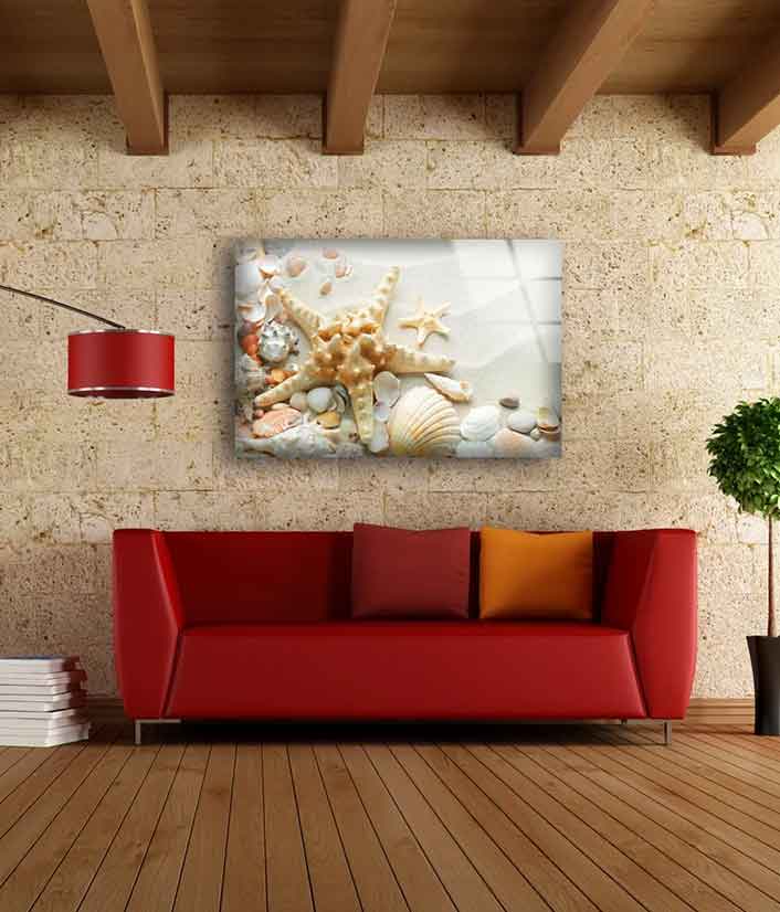 Sea Shells Photograph Acrylic Glass Print Tempered Glass Wall Art 100% Made in Australia Ready to Hang