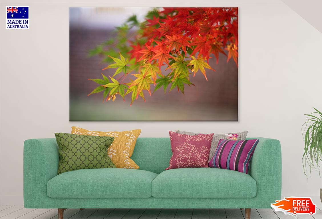 Colorful Tree Branch Closeup Photograph Print 100% Australian Made