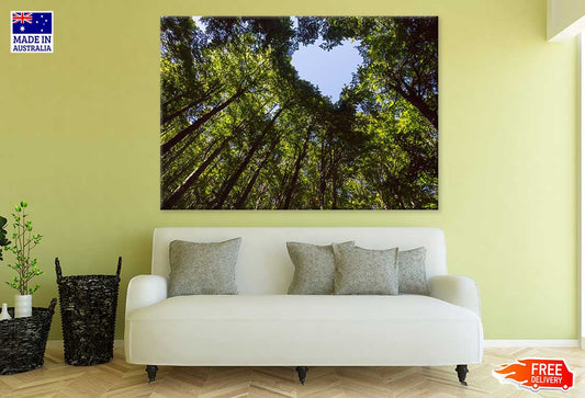 Large Trees Heart Shaped View Photograph Print 100% Australian Made