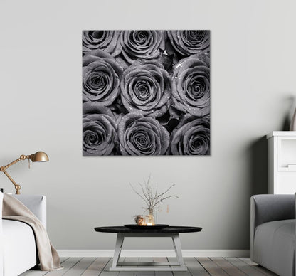 Square Canvas Water Drops on Roses B&W View High Quality Print 100% Australian Made