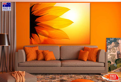 Sunflower Petals Sunset View Photograph Print 100% Australian Made
