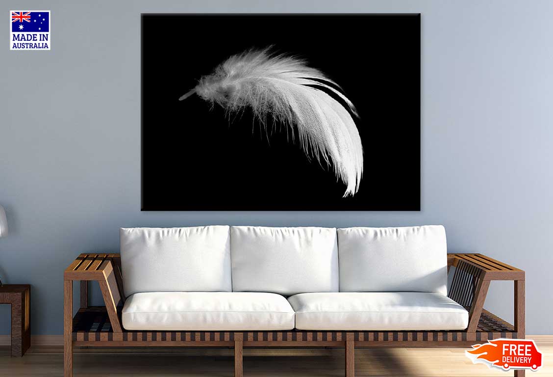 White Feather Closeup B&W View Photograph Print 100% Australian Made