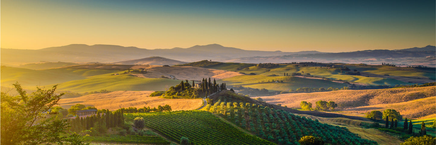 Panoramic Canvas Rice Field Hill Aerial View High Quality 100% Australian Made Wall Canvas Print Ready to Hang