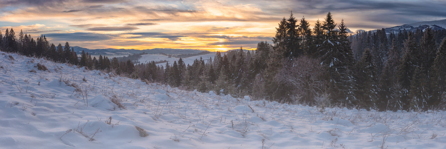Panoramic Canvas Snow Forest Mountain View Photograph High Quality 100% Australian Made Wall Canvas Print Ready to Hang