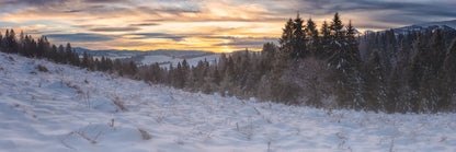 Panoramic Canvas Snow Forest Mountain View Photograph High Quality 100% Australian Made Wall Canvas Print Ready to Hang