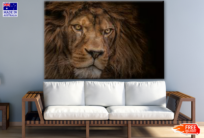 Lion Face Portrait Print 100% Australian Made