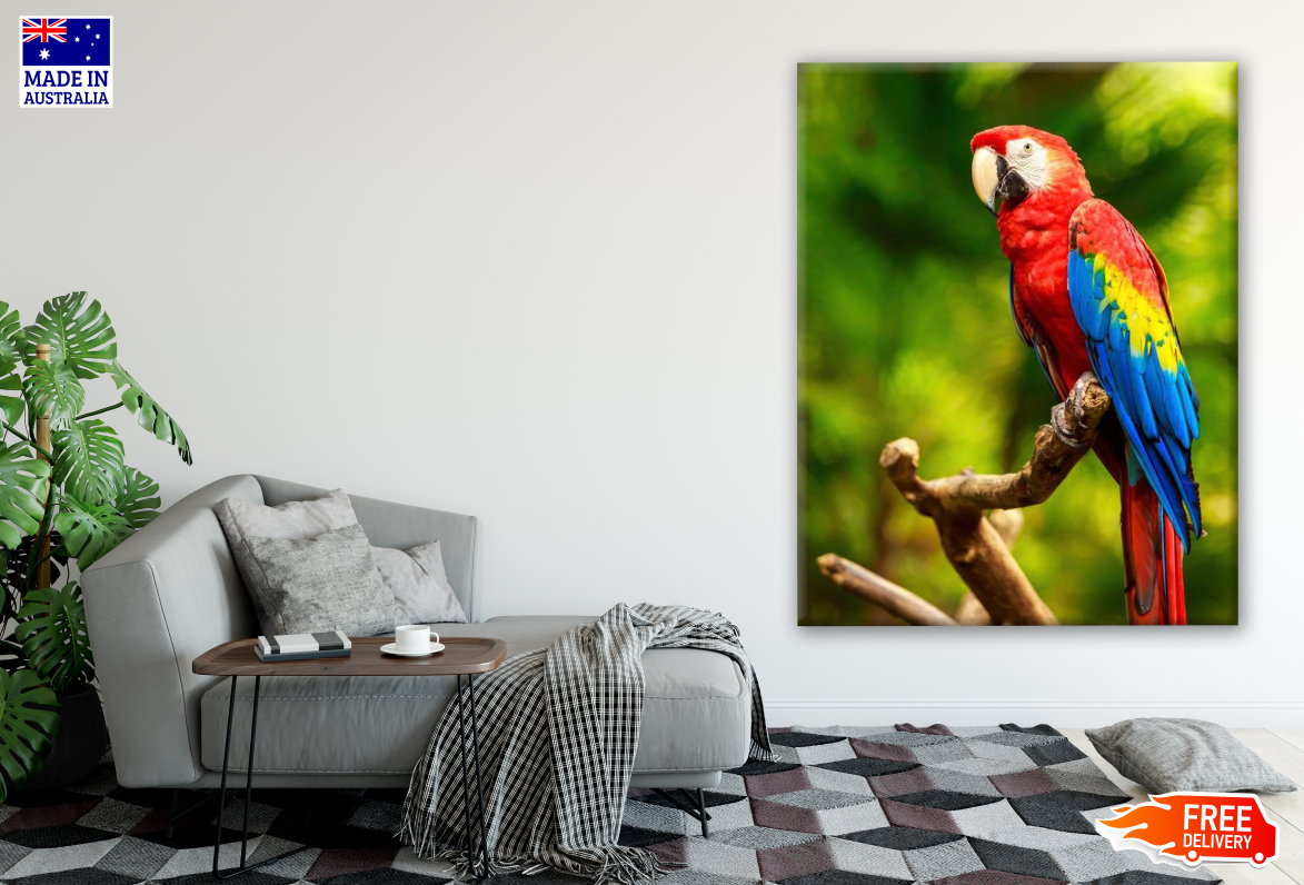 Colourful Macaw Bird Photograph Print 100% Australian Made