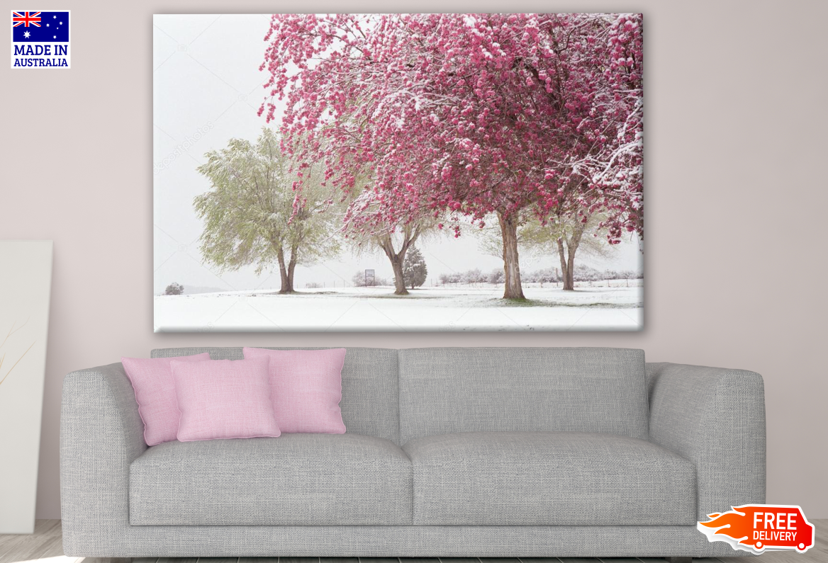 Blossom Trees in Winter Print 100% Australian Made