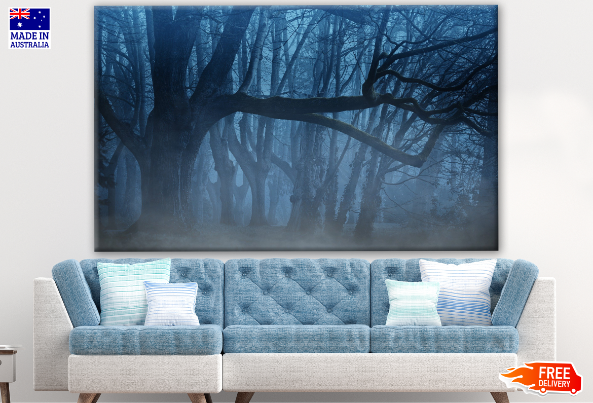 Tree in a Misty Forest Photograph Print 100% Australian Made