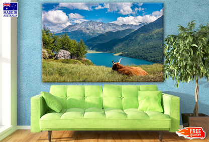 Stunning Nature Landscape View Photograph Print 100% Australian Made