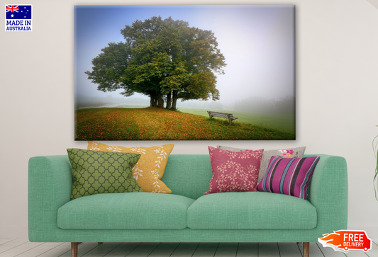 Tree & Bench on a Mountain Slope Stunning View Photograph Print 100% Australian Made