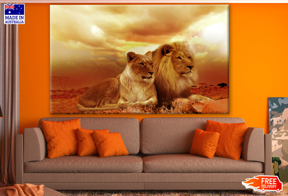 Lion Couple On Sunset Print 100% Australian Made