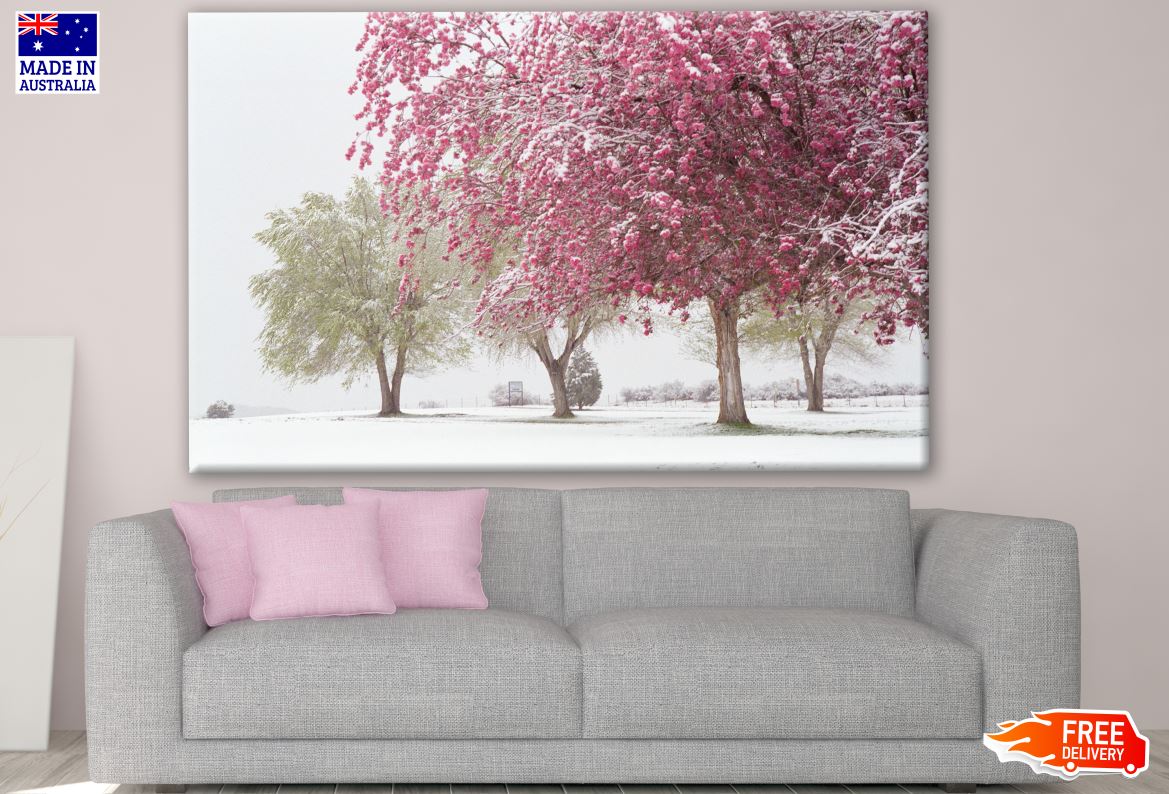 Stunning Blossom tree in Winter Snow Photograph Print 100% Australian Made