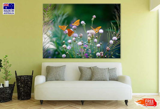 Butterflies on Flower Buds View Photograph Print 100% Australian Made