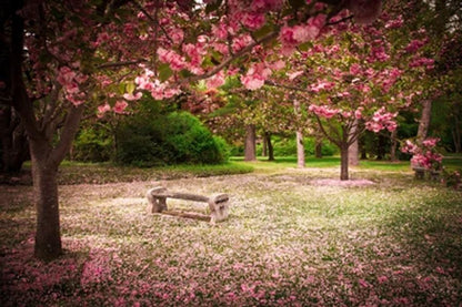 Beautiful Garden Bench Print 100% Australian Made